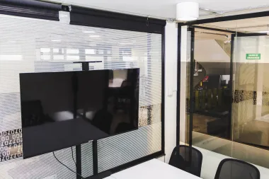 Sala de reuniones palmeras