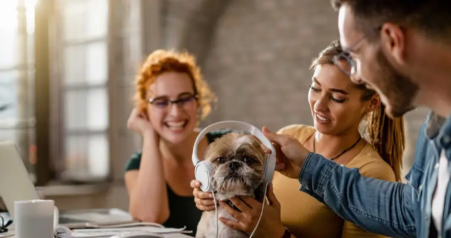 Coworking Pet Friendly